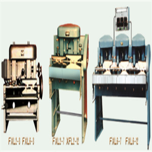 Mechanische Ring Shot Continuous Froth Flotation de Machinecel van XFL
